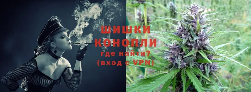 Канабис THC 21%  mega маркетплейс  Бердск  купить наркотик 